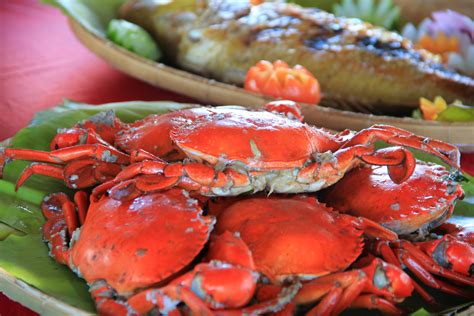 crab fish|Crab .